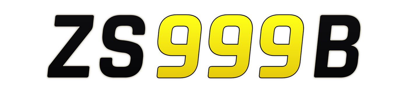 zs999b